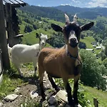 Farmház Unterdacheben