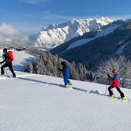 Unterdacheben Dienten am Hochkönig