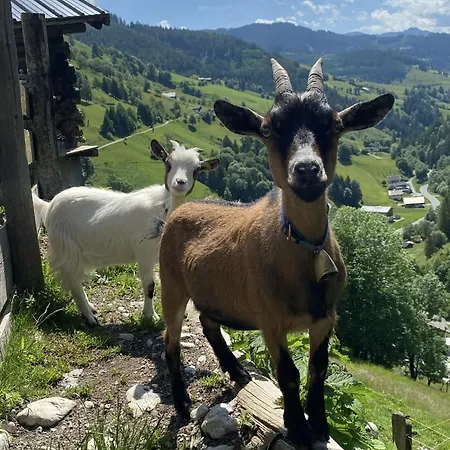 Gospodarstwo agroturystyczne Unterdacheben