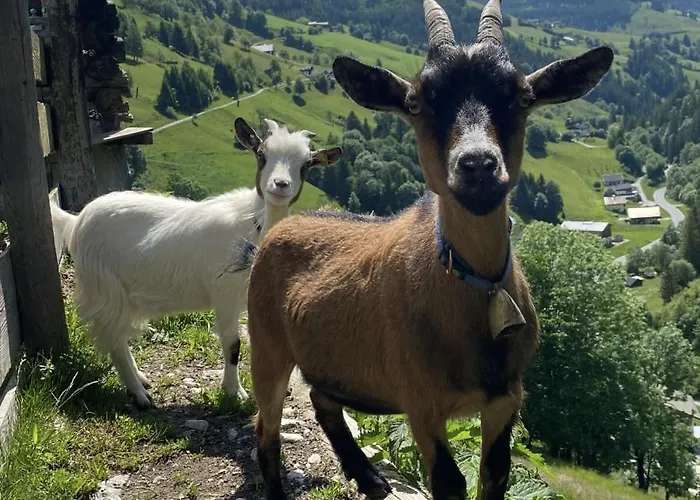 ファームステイ Unterdacheben